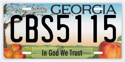 GA license plate CBS5115