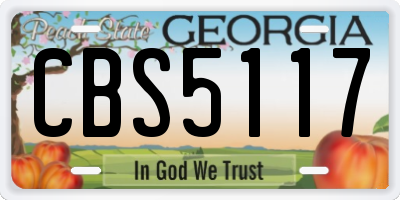 GA license plate CBS5117