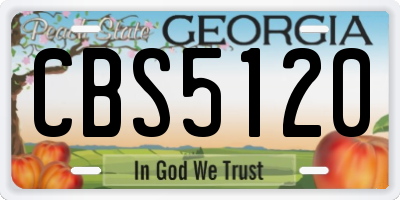 GA license plate CBS5120
