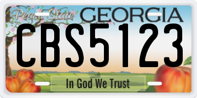 GA license plate CBS5123
