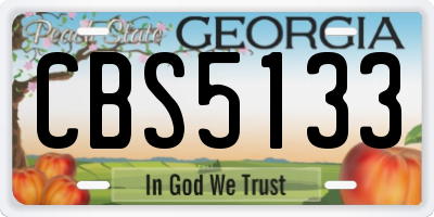 GA license plate CBS5133