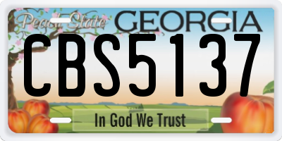 GA license plate CBS5137