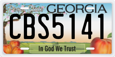 GA license plate CBS5141