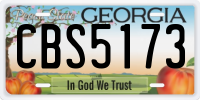 GA license plate CBS5173