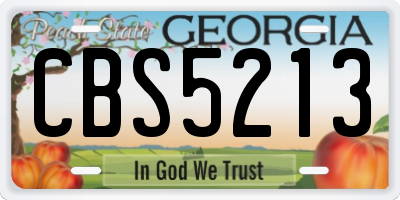 GA license plate CBS5213