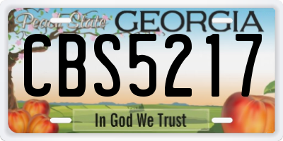 GA license plate CBS5217