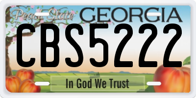 GA license plate CBS5222