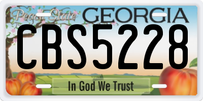 GA license plate CBS5228