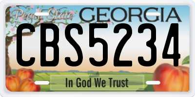 GA license plate CBS5234