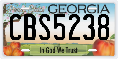 GA license plate CBS5238