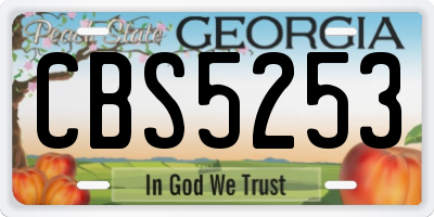 GA license plate CBS5253