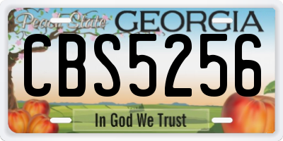 GA license plate CBS5256