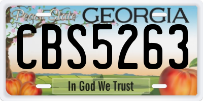 GA license plate CBS5263