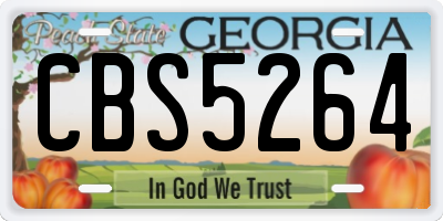 GA license plate CBS5264