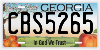 GA license plate CBS5265