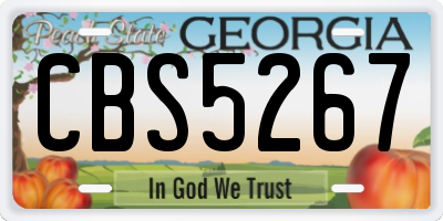 GA license plate CBS5267