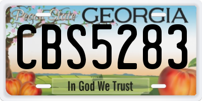 GA license plate CBS5283