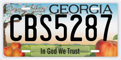 GA license plate CBS5287