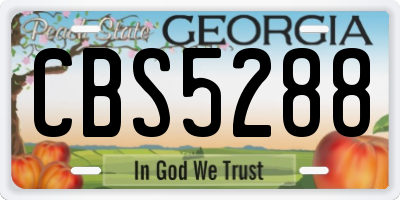 GA license plate CBS5288