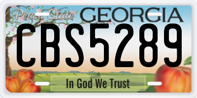 GA license plate CBS5289