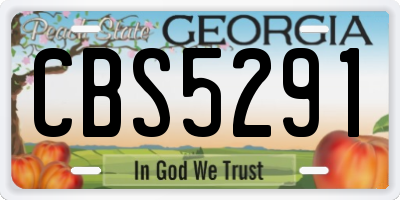 GA license plate CBS5291