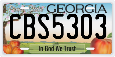 GA license plate CBS5303