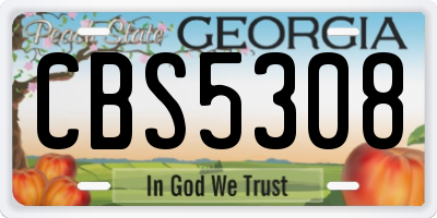 GA license plate CBS5308