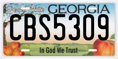GA license plate CBS5309