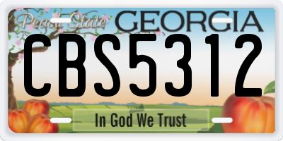 GA license plate CBS5312