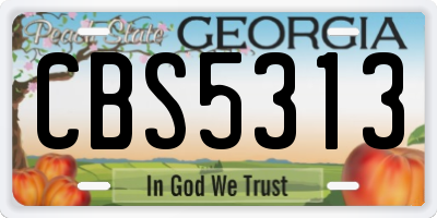 GA license plate CBS5313