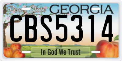 GA license plate CBS5314