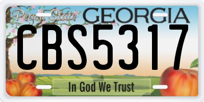 GA license plate CBS5317