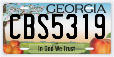 GA license plate CBS5319