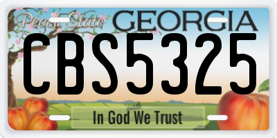 GA license plate CBS5325