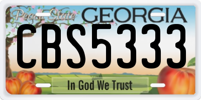GA license plate CBS5333