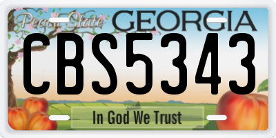 GA license plate CBS5343
