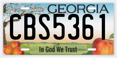 GA license plate CBS5361