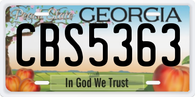 GA license plate CBS5363