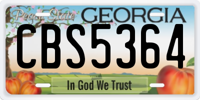 GA license plate CBS5364