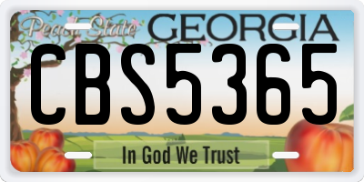 GA license plate CBS5365