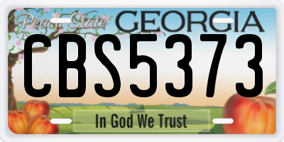 GA license plate CBS5373