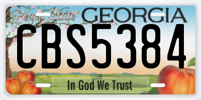 GA license plate CBS5384