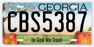 GA license plate CBS5387