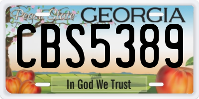 GA license plate CBS5389