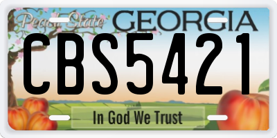 GA license plate CBS5421