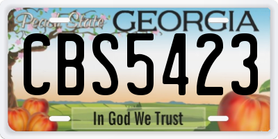 GA license plate CBS5423