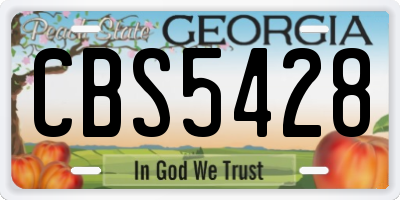 GA license plate CBS5428