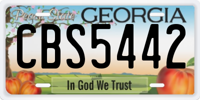 GA license plate CBS5442