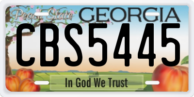 GA license plate CBS5445