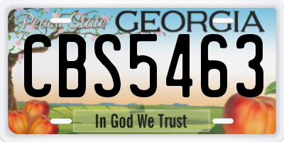GA license plate CBS5463